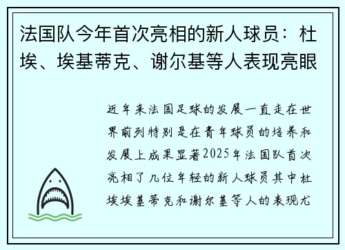 法国队今年首次亮相的新人球员：杜埃、埃基蒂克、谢尔基等人表现亮眼